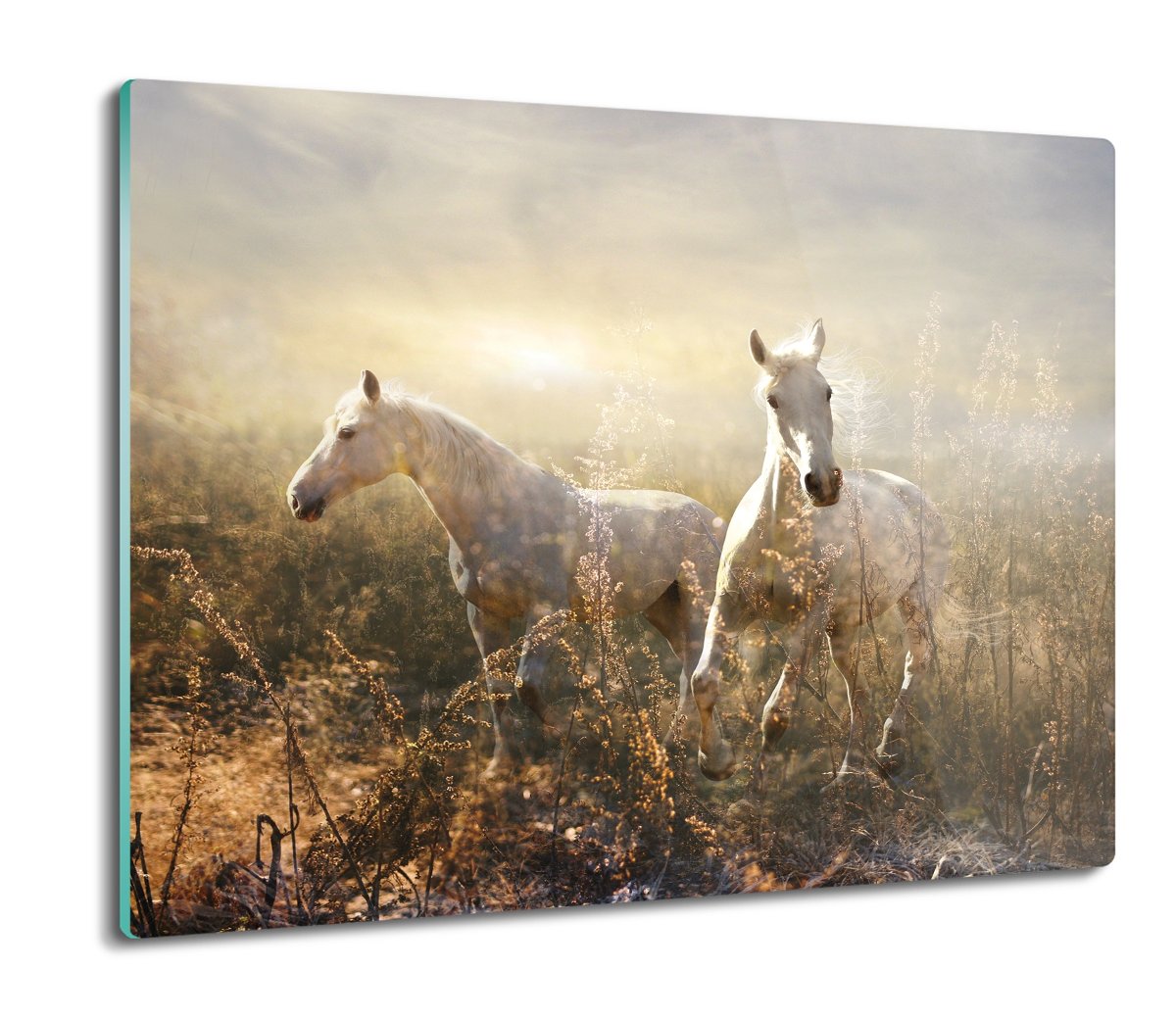 osłona płyty kuchennej Konie galop trawy 60x52, ArtprintCave