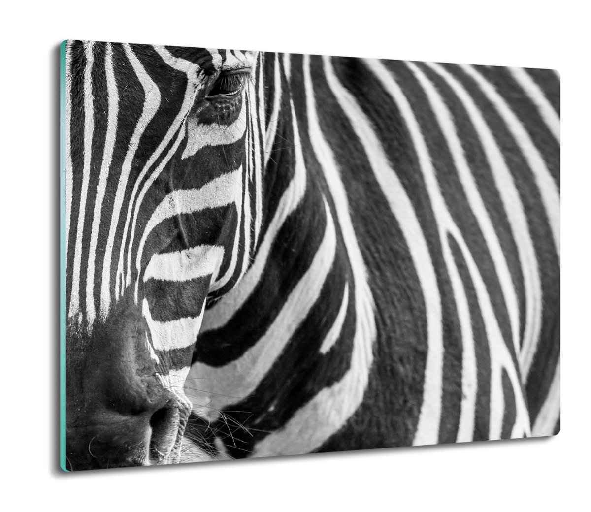 osłona splashback szklana Zebra pasy oko 60x52, ArtprintCave