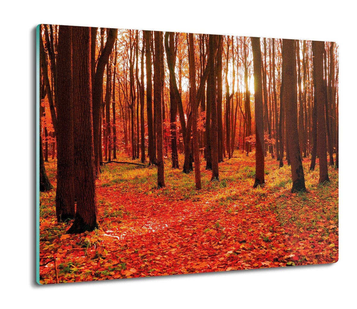 druk osłonka z nadrukiem Las liście jesień 60x52, ArtprintCave