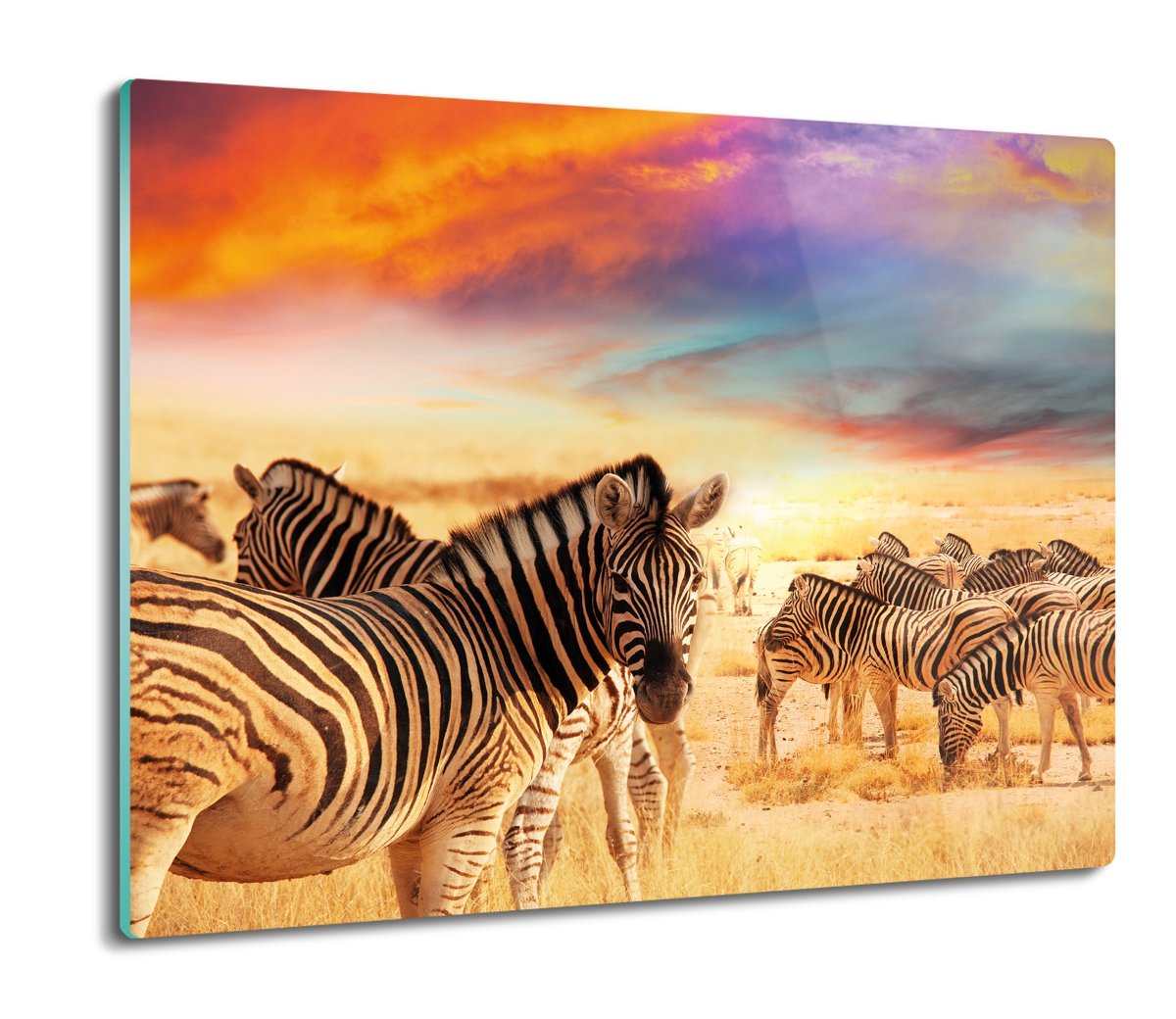 osłona splashback z foto Zebry stado niebo 60x52, ArtprintCave