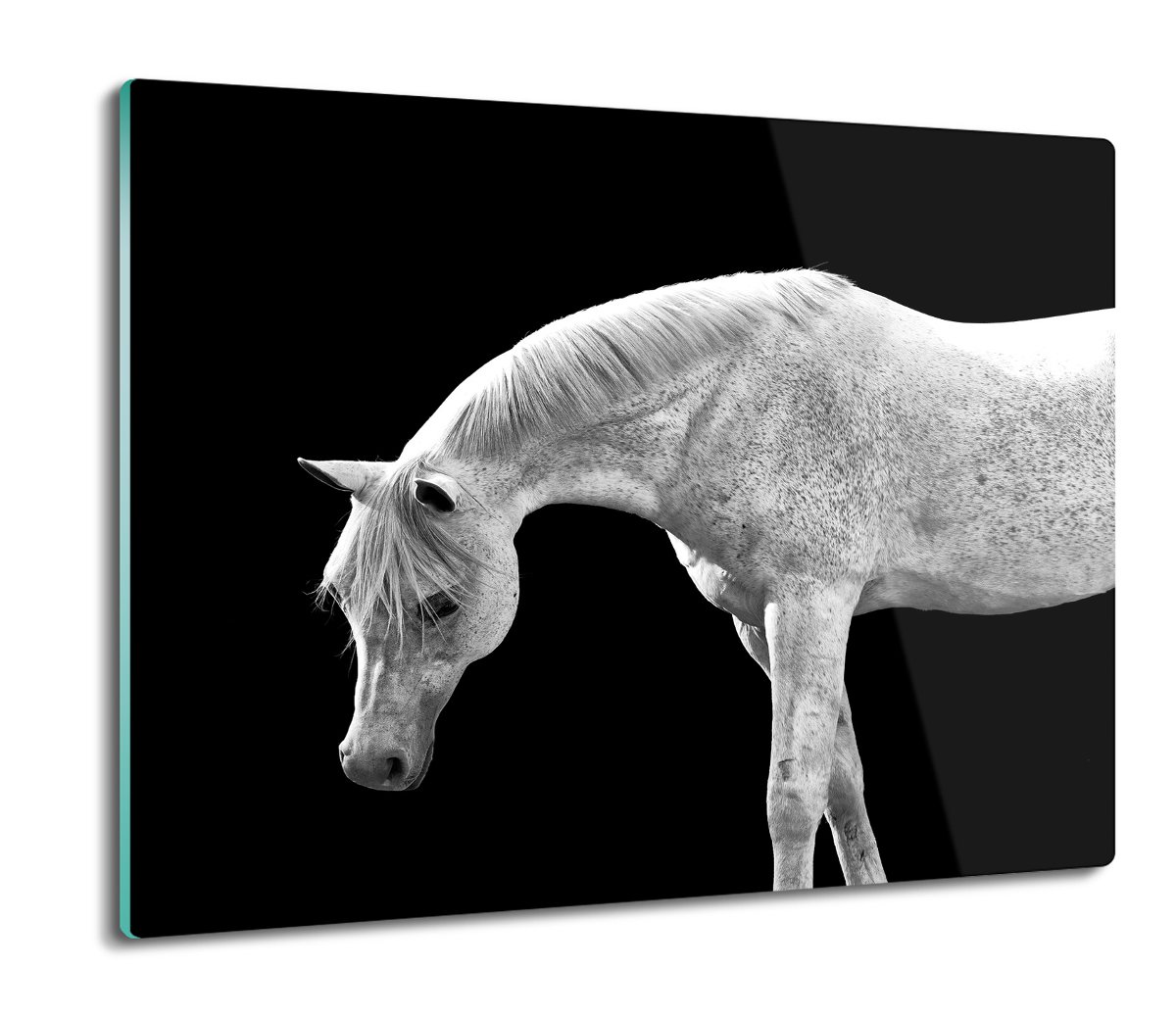 szklana osłonka kuchenna z foto Biały koń 60x52, ArtprintCave