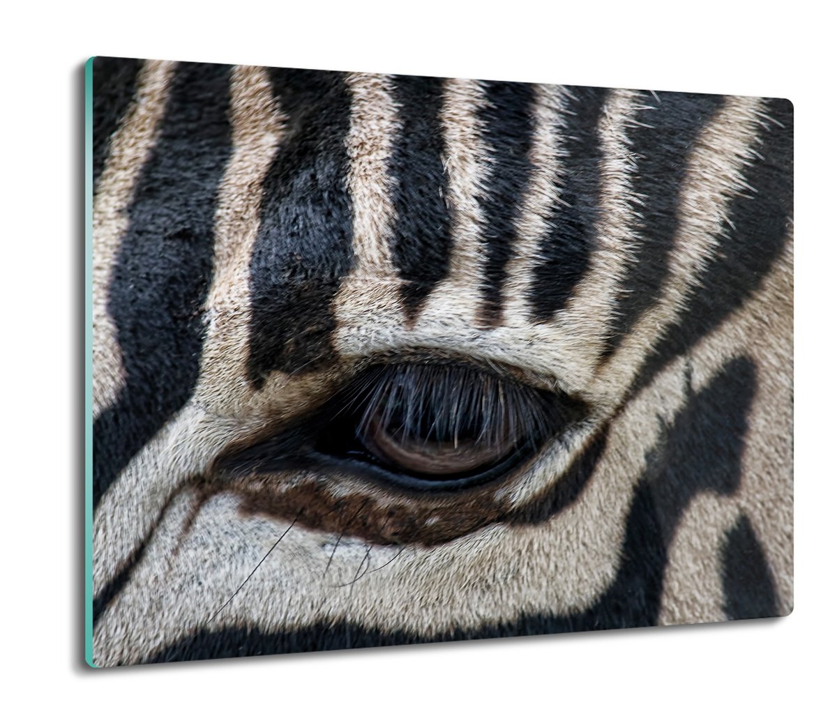 druk osłona płyty kuchennej Zebra oko pasy 60x52, ArtprintCave