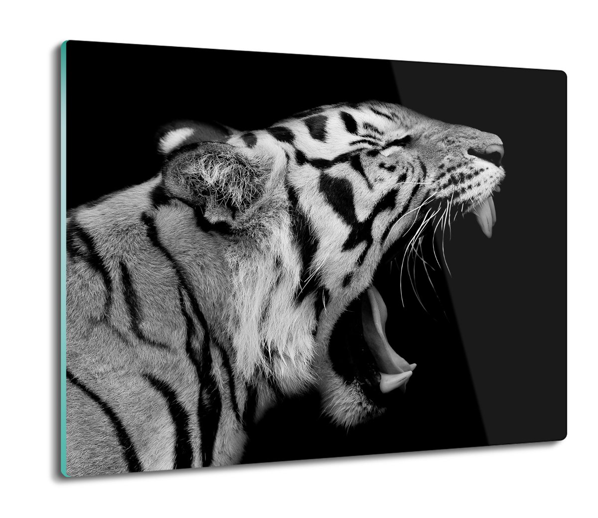 szklana splashback z grafiką Tygrys kot zęby 60x52, ArtprintCave