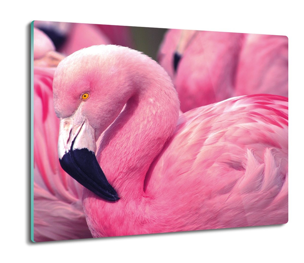 osłona płyty kuchennej Flaming zwierzęta 60x52, ArtprintCave