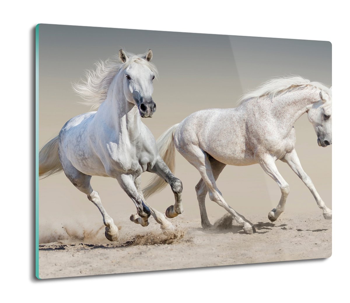 szklana deska splashback Konie galop kopyta 60x52, ArtprintCave