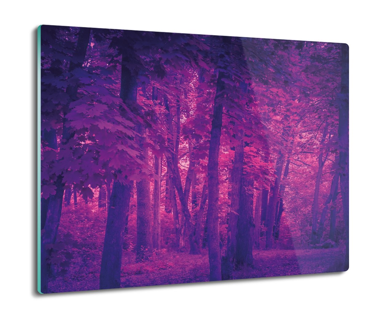 osłonka kuchenna ze szkła Las drzewa rośliny 60x52, ArtprintCave