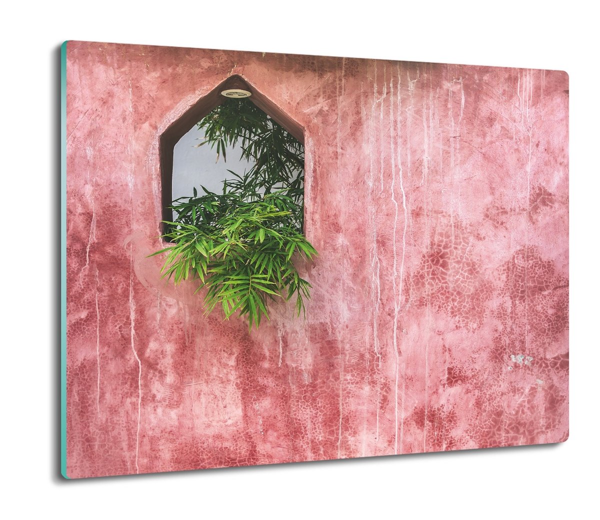 osłona na kuchenkę indukcyjną Ściana rośliny 60x52, ArtprintCave
