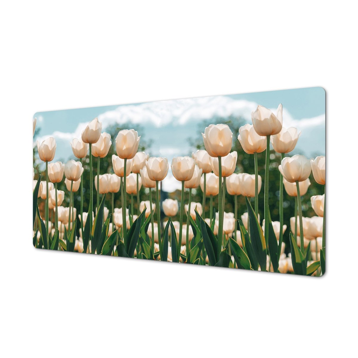 Podkładka z winylu na biurko modna Łąka tulipanów, ArtprintCave