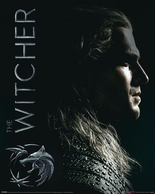 The Witcher Shadows Embrace - plakat 40x50 cm