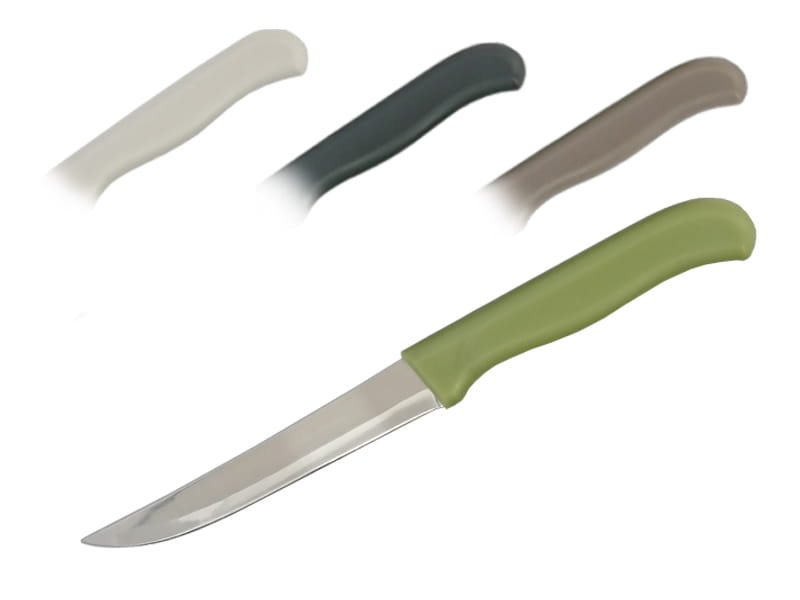 Galicja Nóż kuchenny Denis 21cm mix kolorów N 8506 N 8506