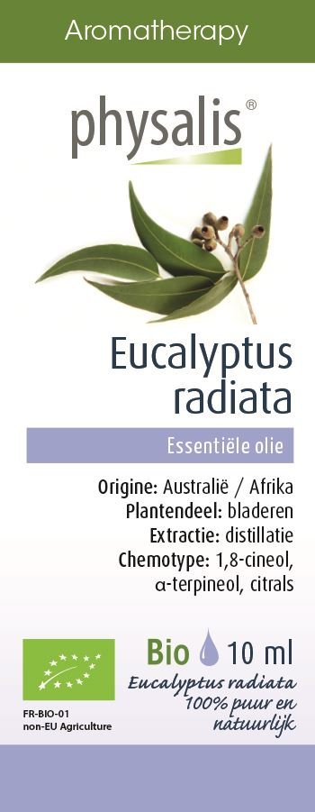 PHYSALIS (olejki eteryczne, soki) OLEJEK ETERYCZNY EUKALIPTUS AUSTRALIJSKI (EUCALYPTUS RADIATA) BIO 10 ml - PHYSALIS