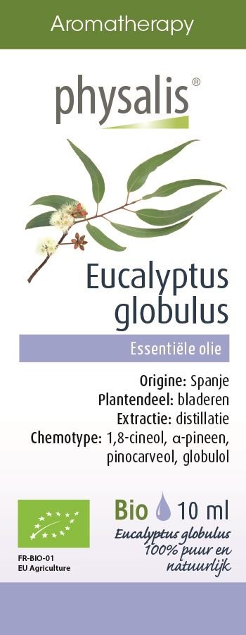 PHYSALIS (olejki eteryczne, soki) OLEJEK ETERYCZNY EUKALIPTUS GAŁKOWY (EUCALYPTUS GL