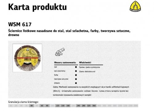 Фото - Аксесуари для інструменту Klingspor ŚCIERNICA LISTKOWA NASADZANA 125mm WSM615 gr.240 