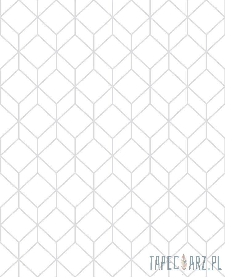 Superfresco Easy Biała tapeta z geometrycznym srebrnym linearnym wzorem 104121_opcje