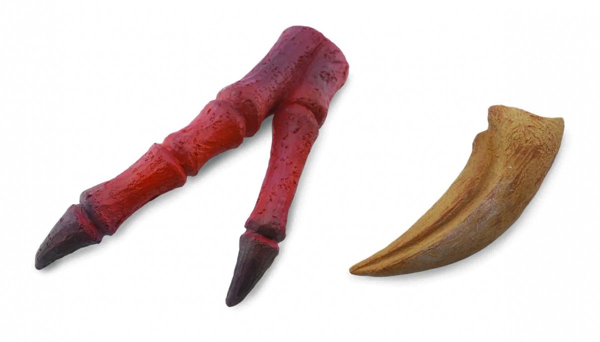 Collecta Figurka PAZUR I KOŃCZYNA TYRANOZAURA 89289 004-89289