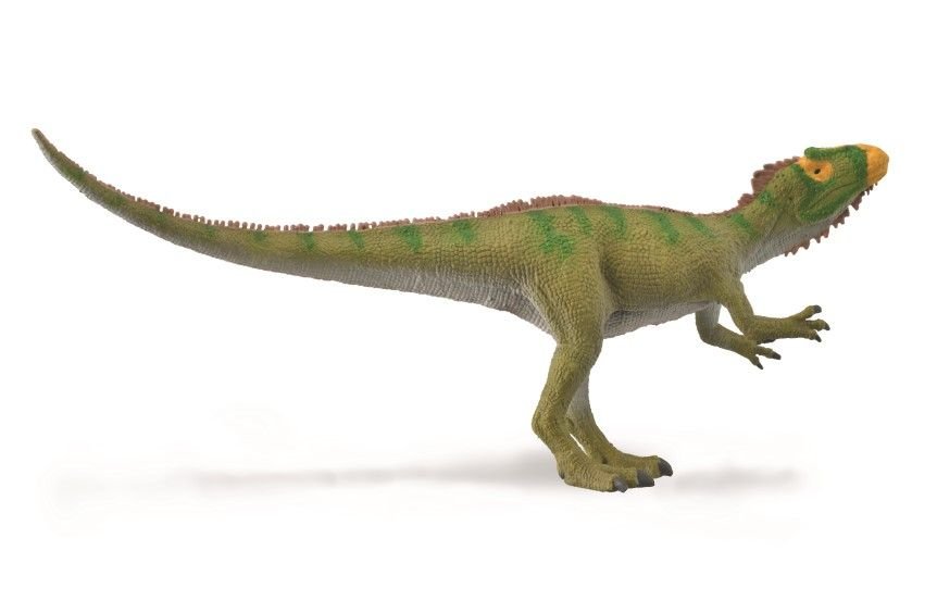Collecta Figurka Dinozaur Neovenator Scenting Prey 449012