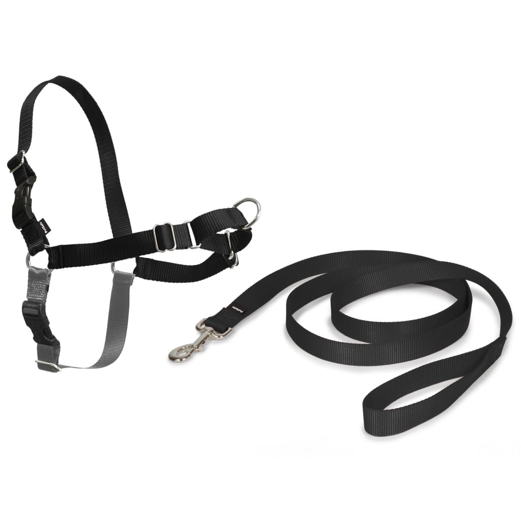 PetSafe Easy Walk uprząż dla psa, z lnianym sznurkiem o długości 1,8 m, bez ciągnięcia, wysoki komfort noszenia, łatwe zakładanie i zdejmowanie, mały, czarny (EW-H-S-BK-45)