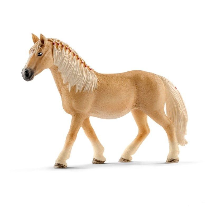 Klacz rasy Haflinger saszetka
