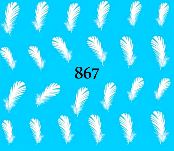 Naklejki wodne na paznokcie - nr 867