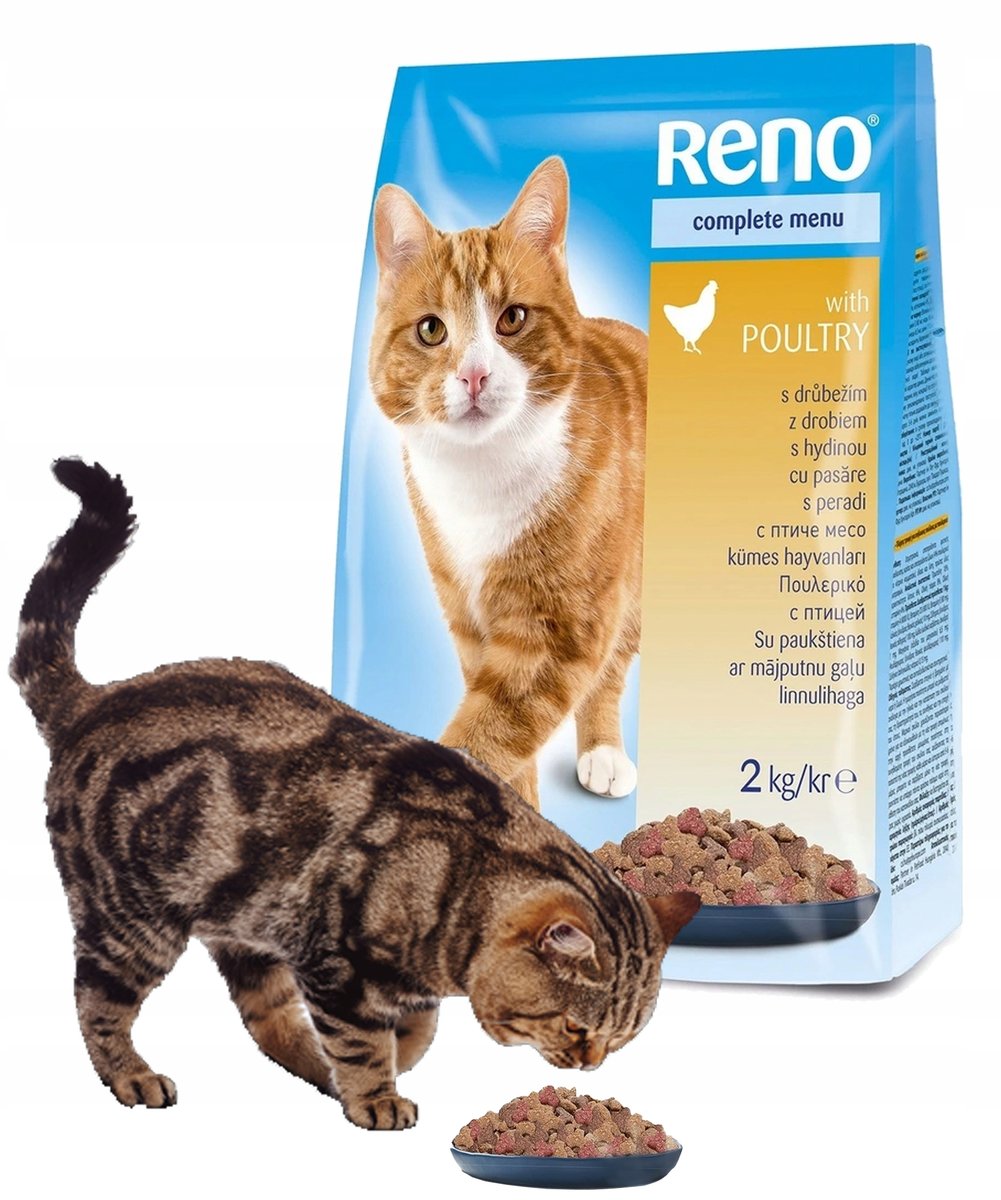 Partner In Pet Karma dla kota z drobiem Reno Dry 2kg
