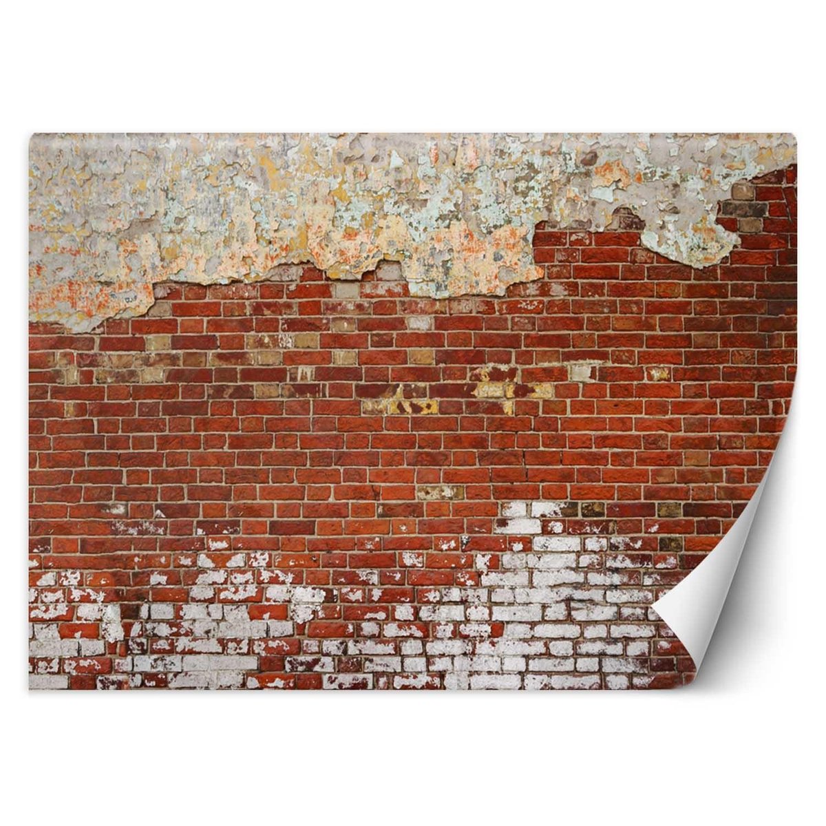 Fototapeta, Ceglany mur (Rozmiar 100x70)