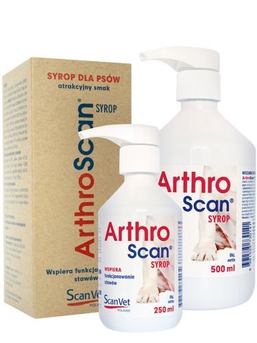 Zdjęcia - Leki i witaminy ScanVet Arthroscan syrop 250ml wsparcie stawów 