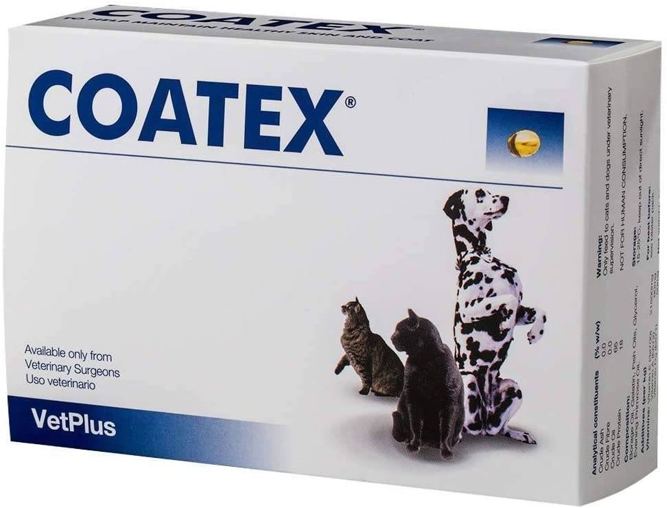 COATEX pies/kot choroby skóry i sierści 60 kapsułek 47934-uniw