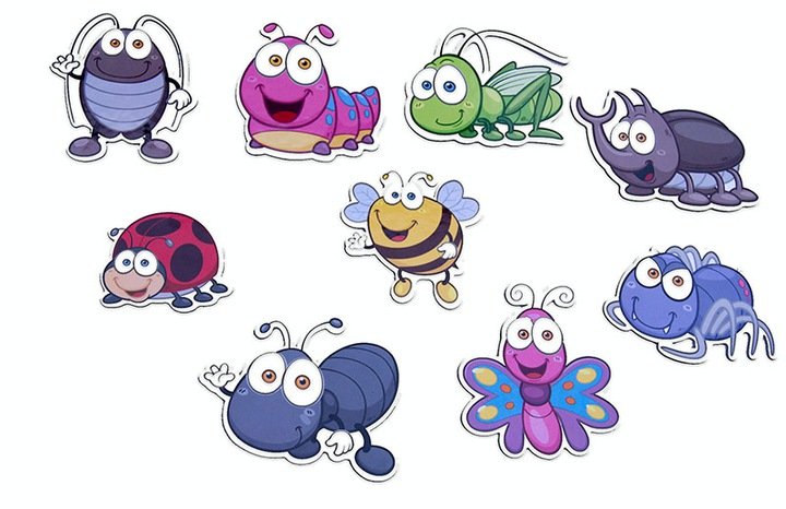 Magnesy OWADY tektura