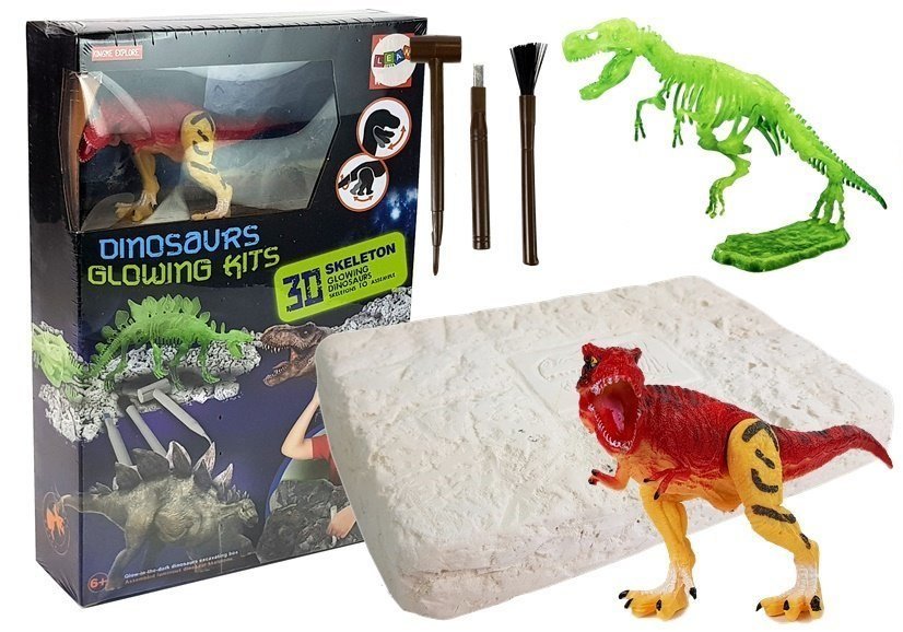 Zestaw Archeologiczny Szkielet Wykopaliska Dinozau