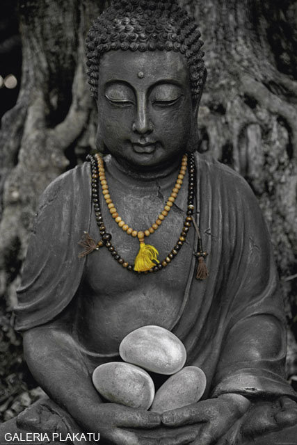 Plakat, Kamienny Budda - Buddha stone, 61x91,5 cm