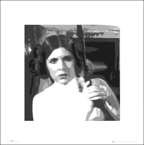 Plakat, Gwiezdne Wojny Star Wars leia, 40x40 cm