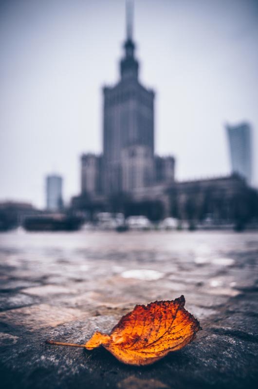 Plakat, Warszawa Pałac Kultury i Nauki Jesienna Impresja, 70x100 cm