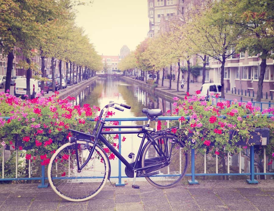 Plakat, Amsterdam Wiosną Rower wśród Kwiatów, 100x70 cm
