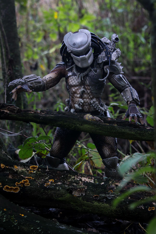 Plakat, Predator , 50x70 cm