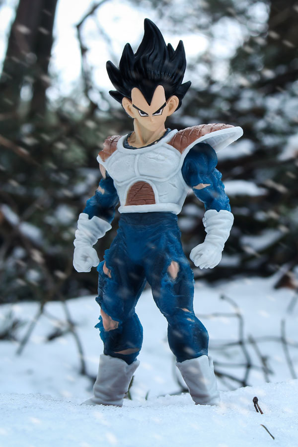 Plakat, Dragon Ball Z - Vegeta, 61x91,5 cm