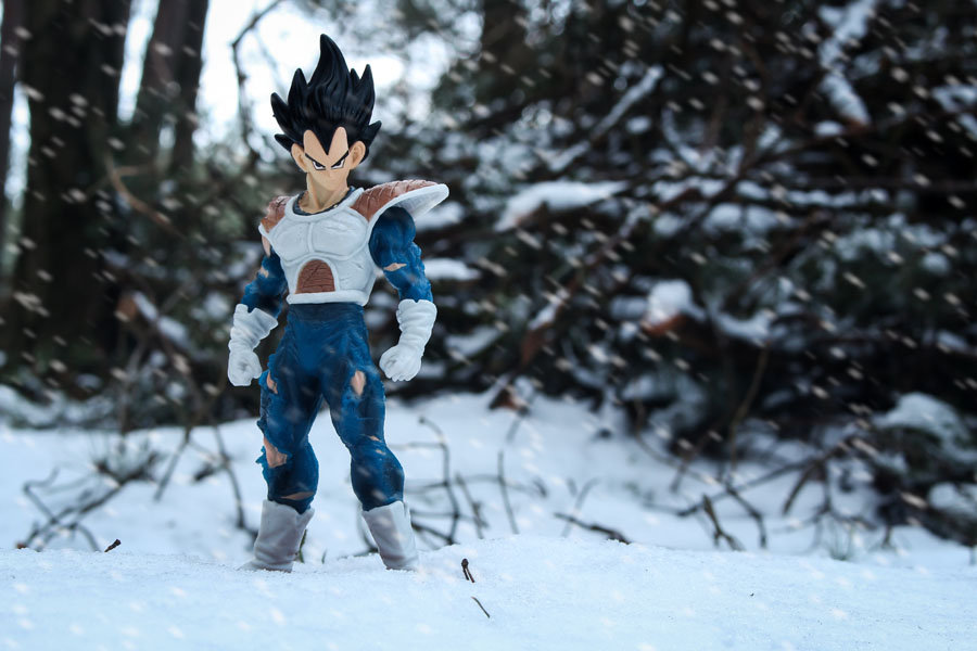 Plakat, Dragon Ball Z - Vegeta, 40x30 cm