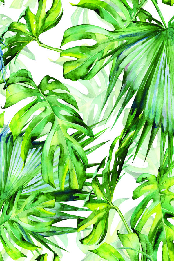 Plakat, Tropikalne liście, 50x70 cm