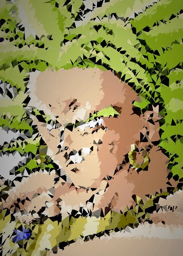 Plakat, POLYamory - Broly, Dragon Ball, 61x91,5 cm