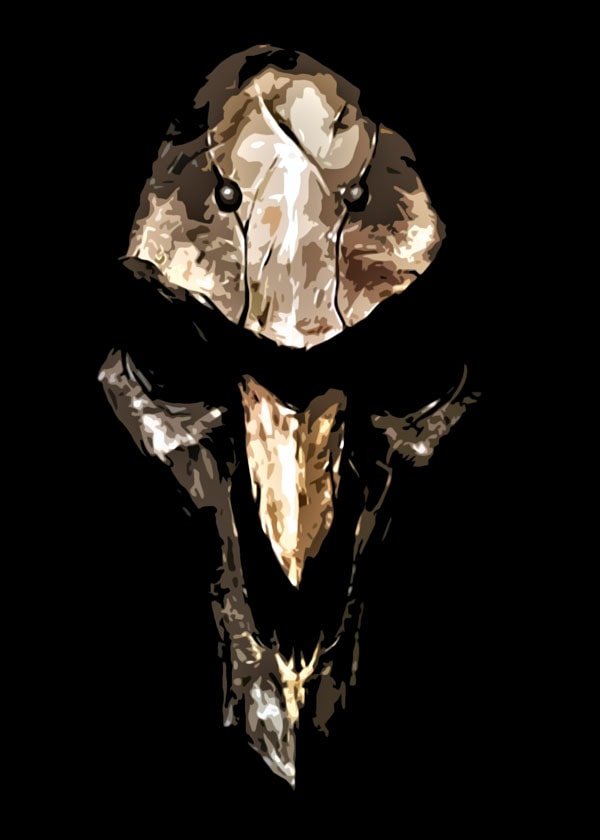 Plakat, Overwatch - Reaper, 50x70 cm