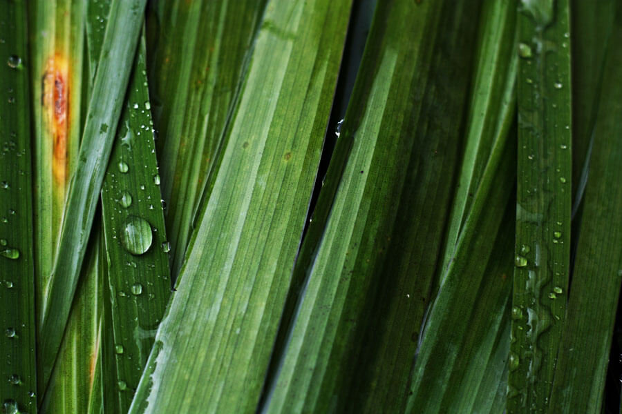 Plakat, Kropla, 84,1x59,4 cm