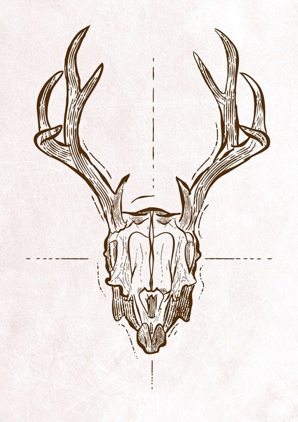 Plakat, Kozioł Czaszka z rogami, 61x91,5 cm