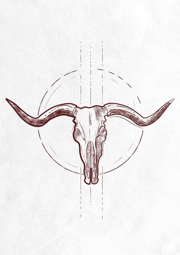 Plakat, Bawół Czaszka z rogami II, 40x50 cm