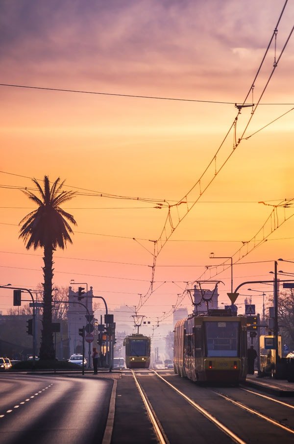 Plakat, Warszawa Palma, 50x70 cm