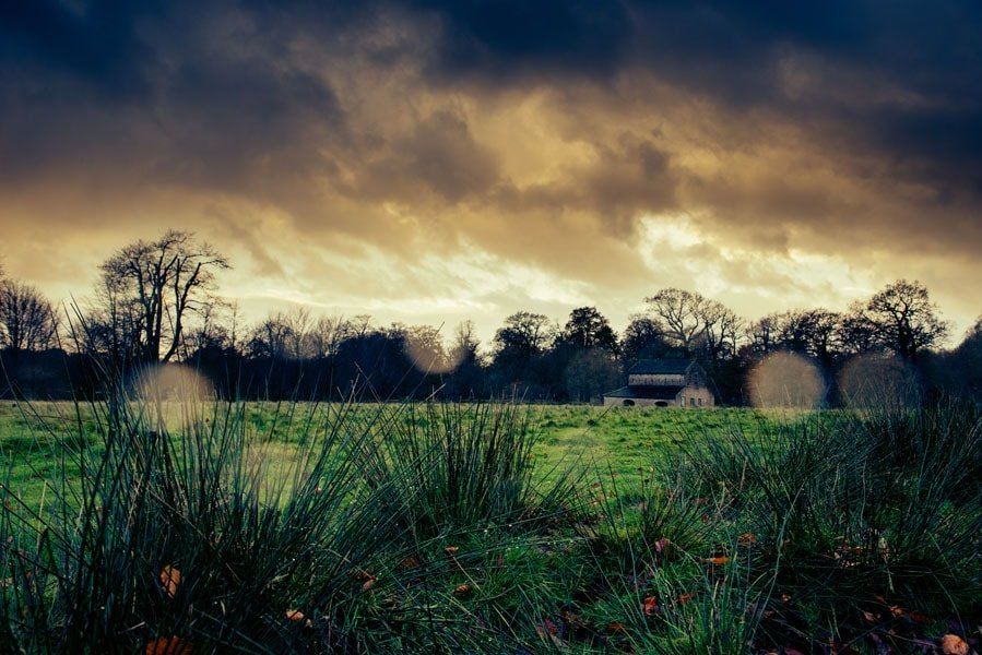 Plakat, Menchaster park, 70x50 cm