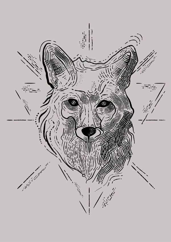 Plakat, Lis szary, 70x100 cm