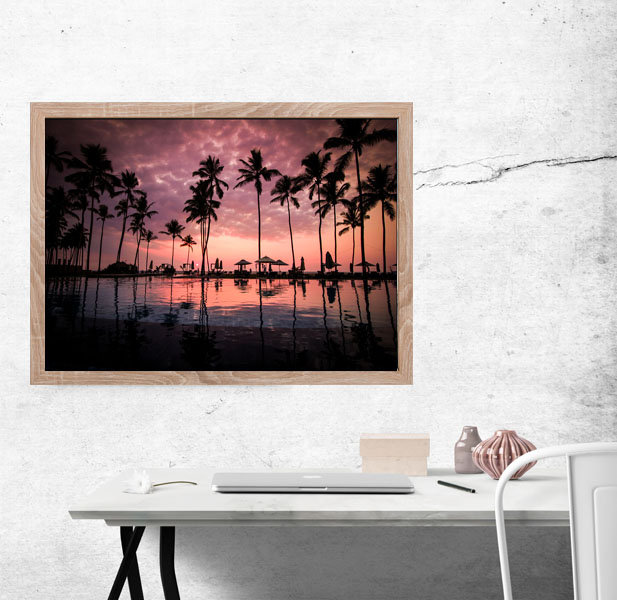 Plakat, Palmy, 70x50 cm