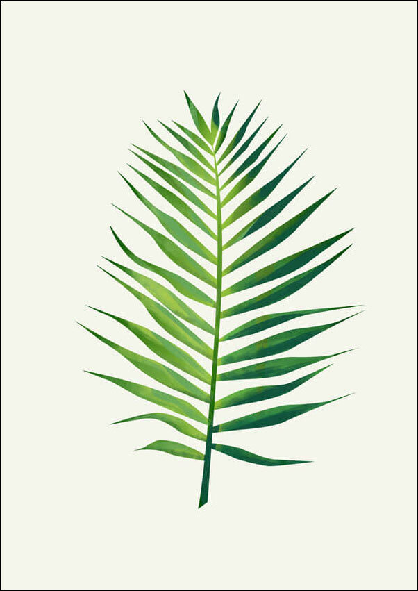 Plakat, Liść II, 61x91,5 cm