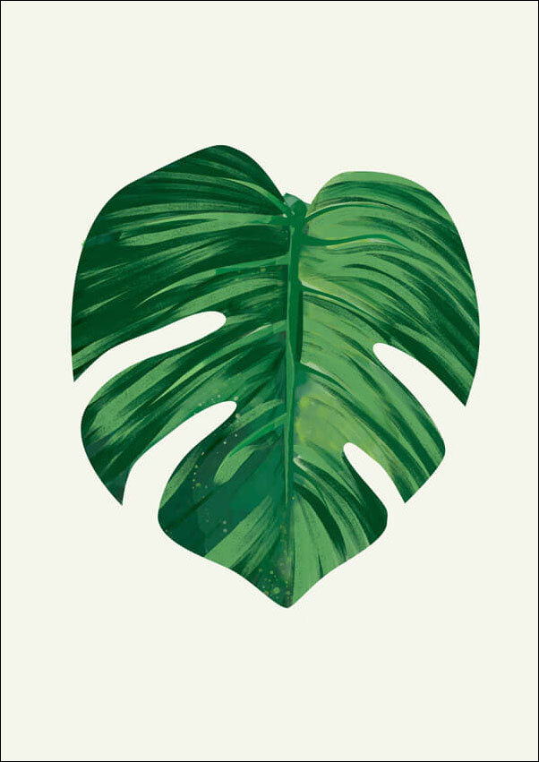 Plakat, Liść III, 30x40 cm