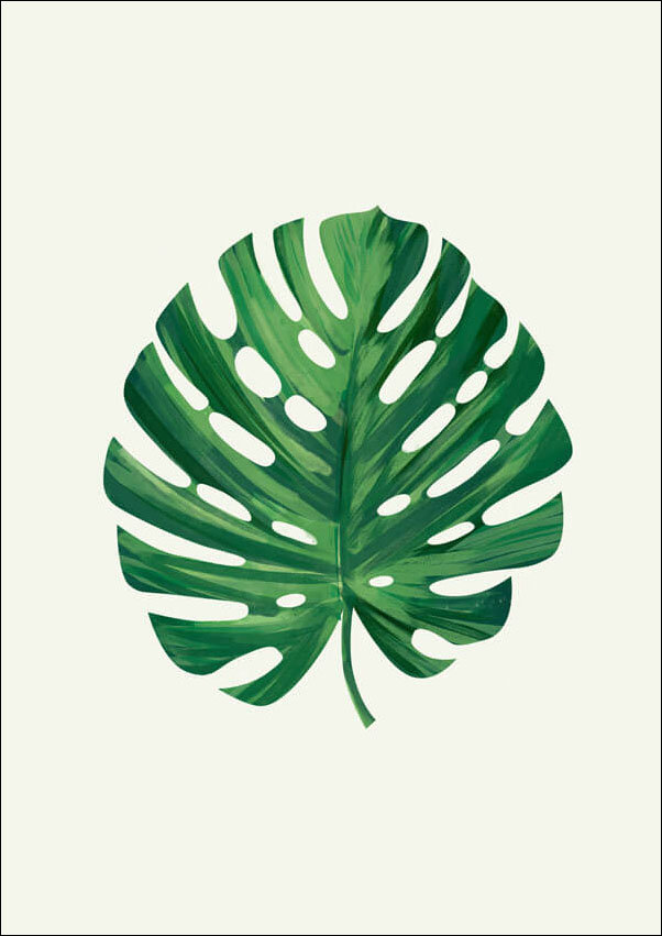 Plakat, Liść I, 29,7x42 cm