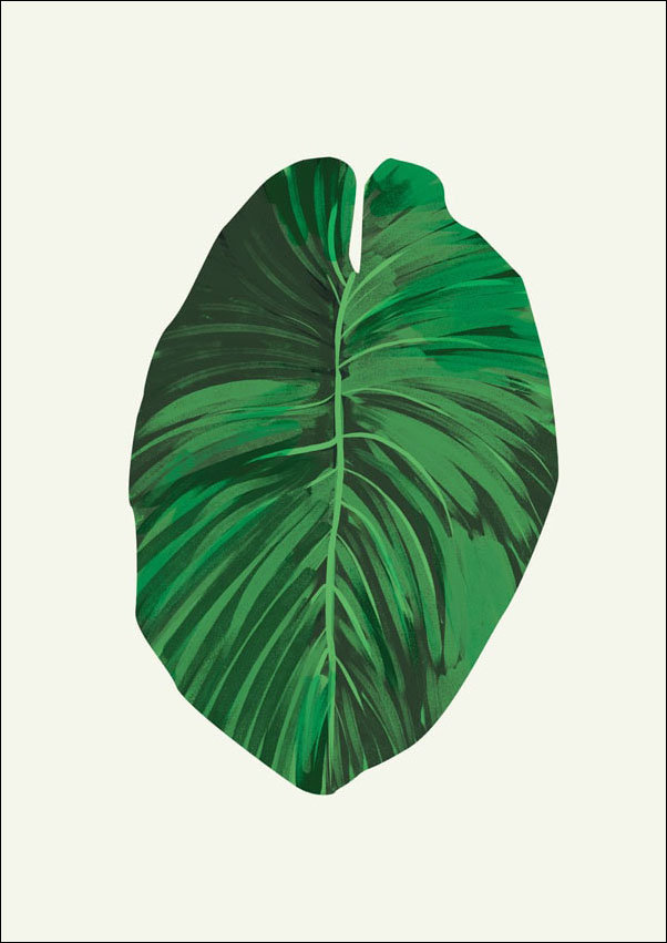 Plakat, Liść VI, 70x100 cm